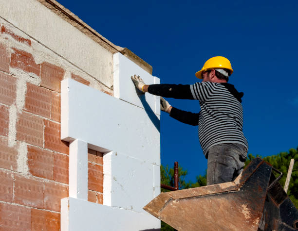 Best Insulation Installation Services in Camden, AL