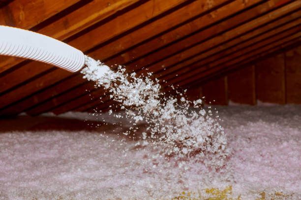Best Insulation Maintenance and Repair in Camden, AL