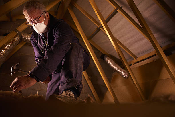 Best Types of Insulation in Camden, AL